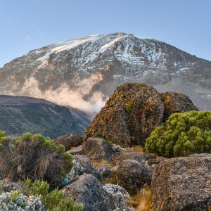 Marangu Route auf den Kilimanjaro Trekking